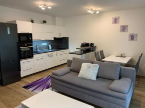 Apartmán s vyhlídkou, Horní Marsov